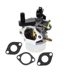 CARBURATOR pentru Briggs & Stratton 801396 801233 801255 TORO CCR2450 CCR3650 CCR 3650